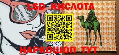 тгк Будённовск