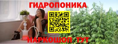тгк Будённовск